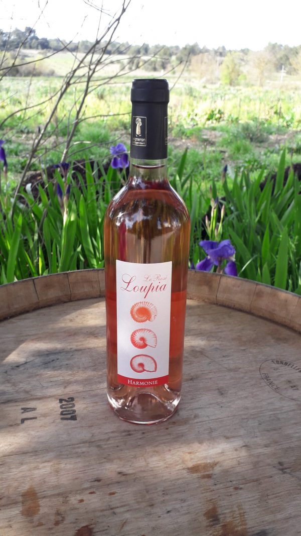 Cuvée Harmonie - Carton de 6 bouteilles